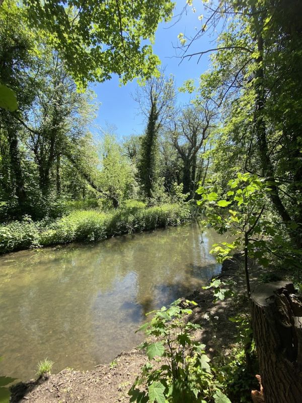 Darenth river at Lullingstone